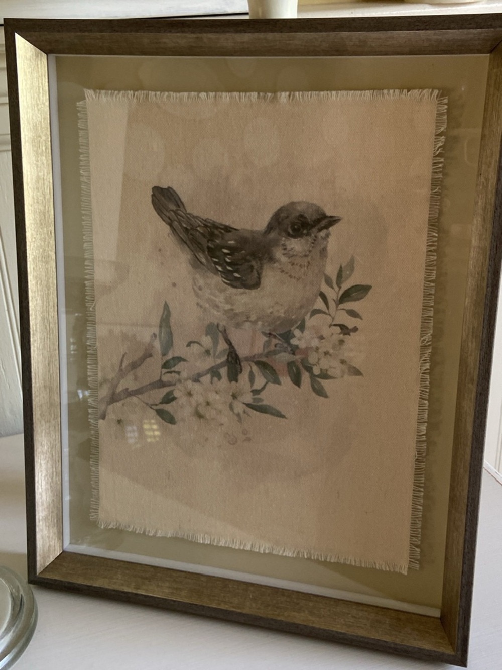 Framed bird print nwot